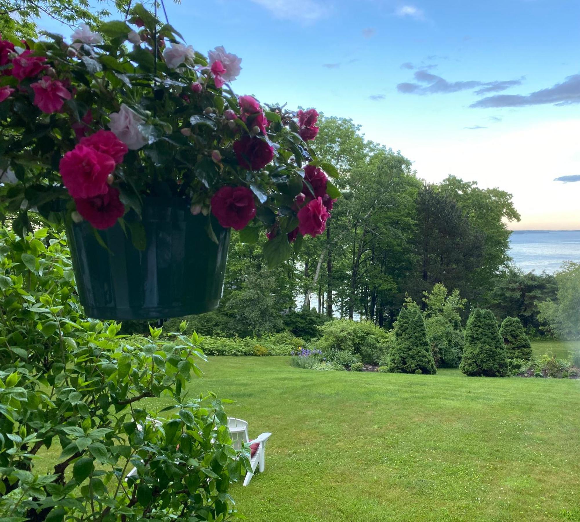 مبيت وإفطار لينكولنفيل Victorian By The Sea المظهر الخارجي الصورة